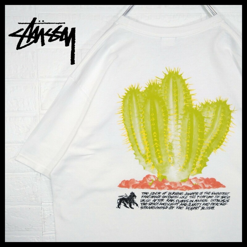 【STUSSY】サボテンアート　ビッグシルエット　Tシャツ