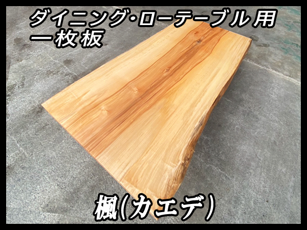 ■新品☆楓(カエデ)☆耳有り■ウレタン塗装済■【62x740-830x1575mm】一枚板 ダイニングテーブル 天板 家具 メープル インテリア■ [No.36]