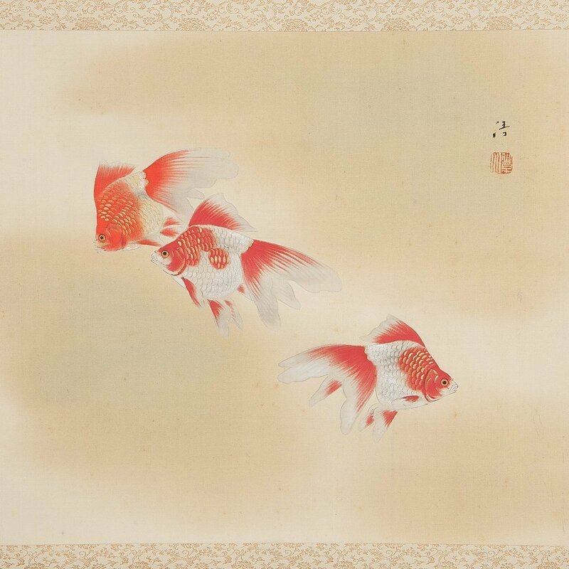 【五】小早川清 『金魚』 真作 絹本 彩色 掛軸 共箱 二重箱