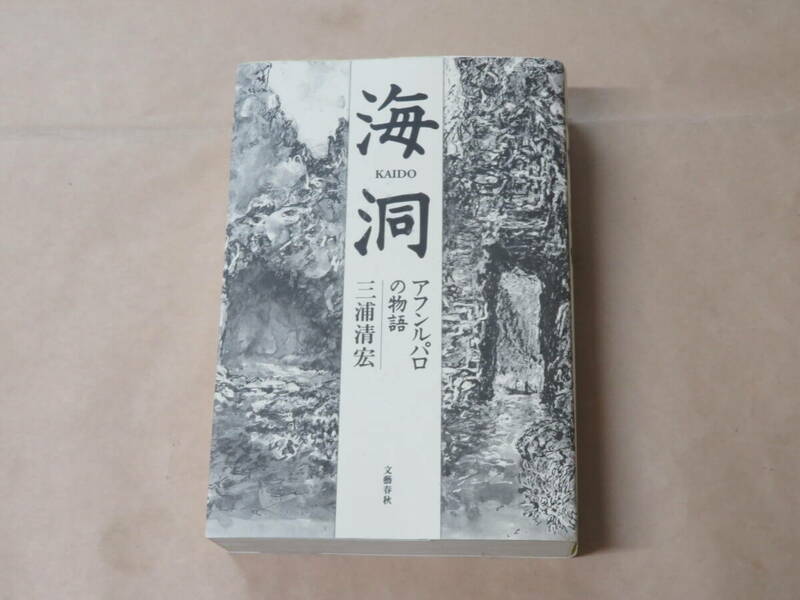 海洞: アフンルパロの物語　/　 三浦 清宏　2006年