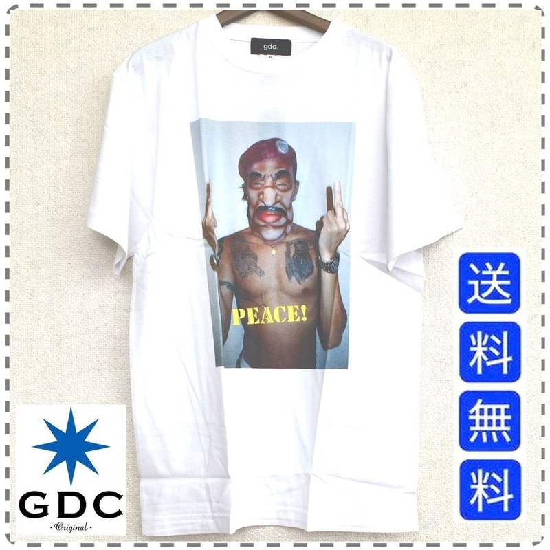 GDC ジーディーシー 綿100% 半袖Tシャツ 丸首 フォトグラファー 新田桂一 KeiichiNitta 白 ユニセックス メンズMサイズ 送料無料 A364