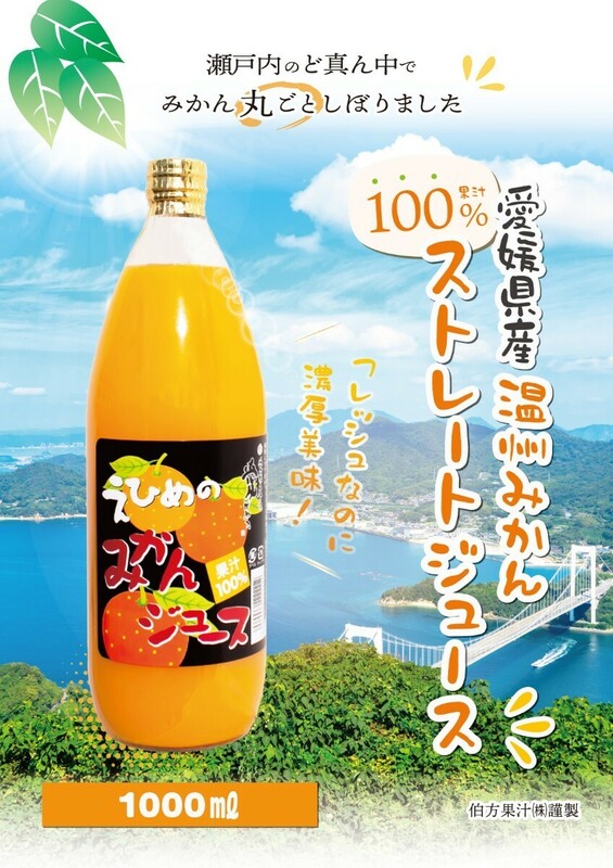 ２ケースセットでお得地元道の駅にも出品愛媛県産えひめみかんジュース1000㎜×12本入りストレート果汁