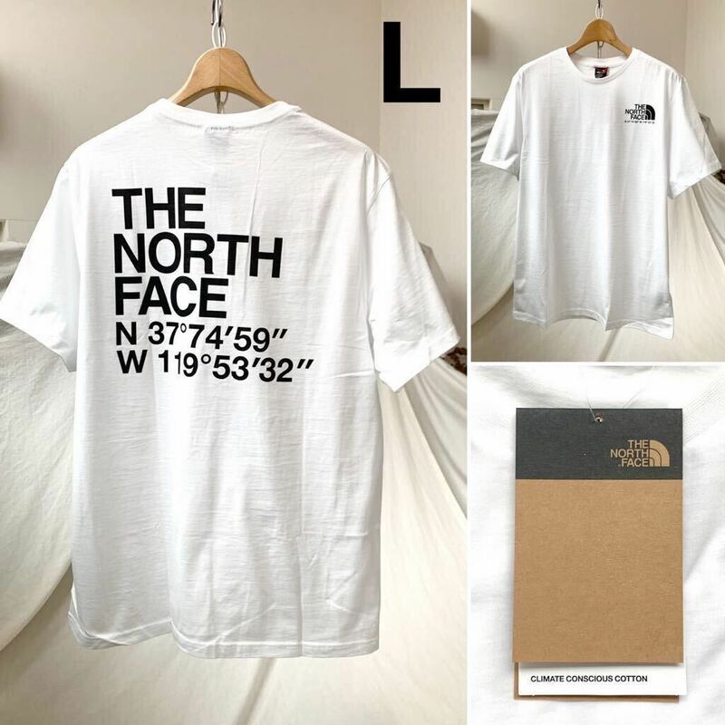 L 新品 ノースフェイス THE NORTH FACE COORDINATES TEE ロゴ ハーフドーム 座標 半袖 Tシャツ 白 メンズ 海外企画 日本未入荷 送料無料