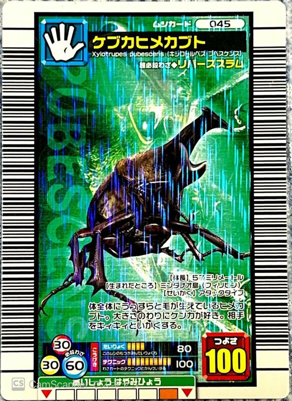 ☆甲虫王者ムシキング 2006セカンド ～パーフェクトキング～ 　ケブカヒメカブト　(045)☆