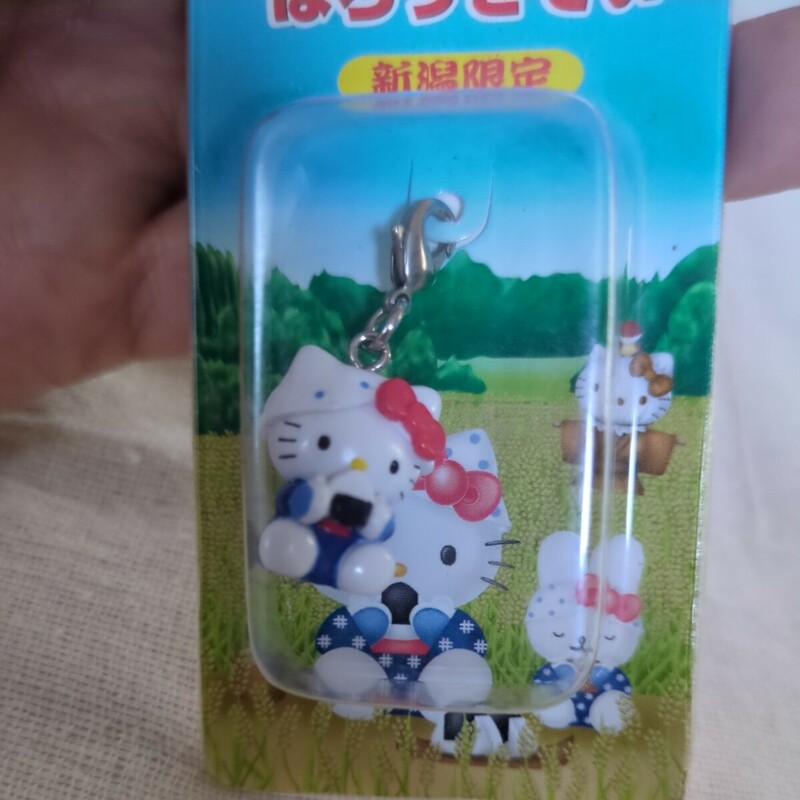 未開封●新潟限定●ハローキティ ファスナーキーホルダー サンリオ Sanrio