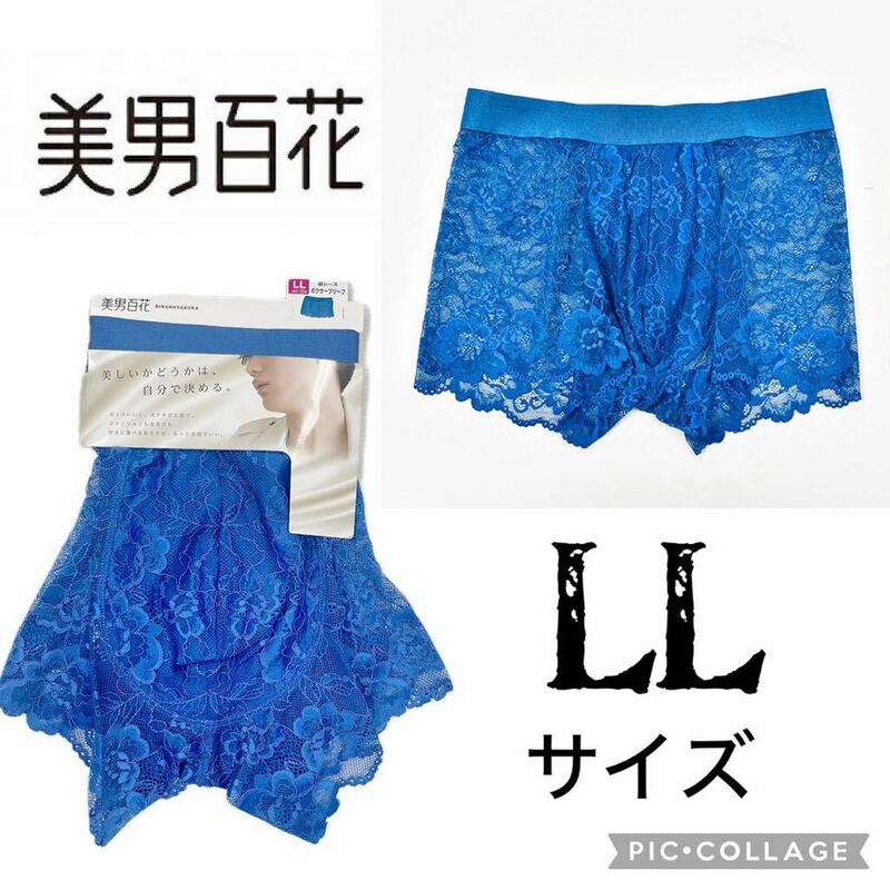 新品62660 アイリン　美男百花　LLサイズ　青　ブルー 総レースボクサーパンツ メンズ 無地 セクシー系パンツ前閉じボクサーパンツ　男性