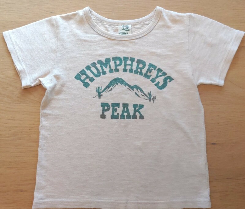 PONY GO ROUND　ポニーゴーラウンド　半袖　Tシャツ　L　120　アメカジ　HUMPHREYS PEAK　マウンテンT