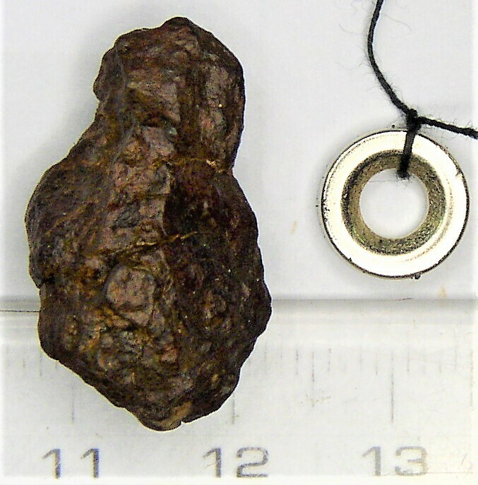 石質隕石　コンドライト　ボタン型磁石＋説明付（Ｂ）
