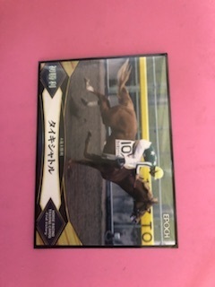 競馬ホースレーシングトレーディングカード名馬タイキシャトル岡部幸雄ウイナーカード新品未使用品