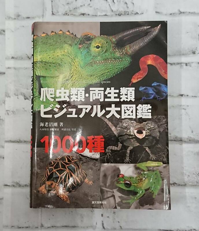 爬虫類・両生類　ビジュアル大図鑑　1000種