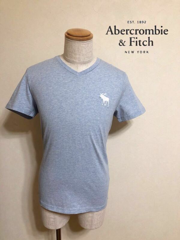 【新品】 Abercrombie & Fitch アバクロンビー&フィッチ エクスプローデッド アイコン Vネック Tシャツ サイズS 半袖 ライトヘザーブルー