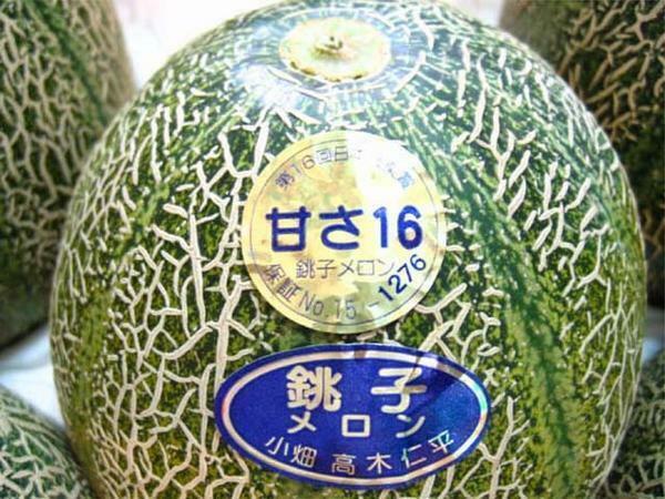【Good】甘いメロンの決定版！日本農業賞受賞『甘さ16 銚子メロン』3～6玉 約5kg ご予約