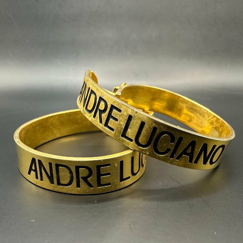 q224 ANDRE LUCIANO アンドレルチアーノ　イヤリング 大きめ ワンポイント アクセサリー