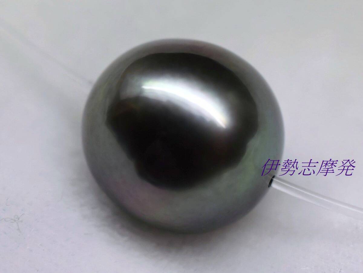 ◆伊勢志摩発◇ 13㎜ｘ12,27㎜！グリーンに赤みの出た美色ナチュラル黒蝶真珠♪光ファイバーネックレス/64