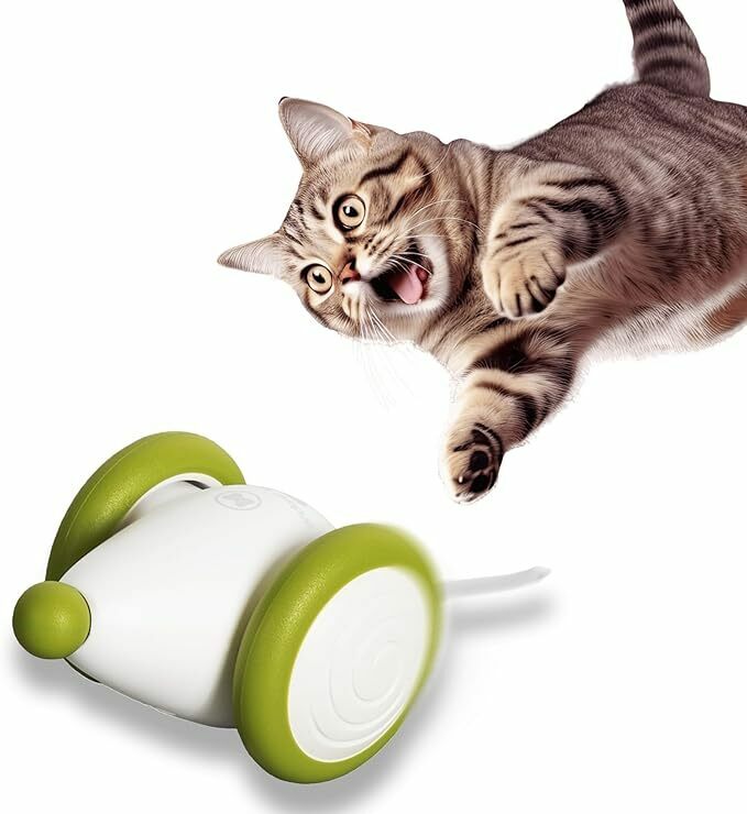 猫楽堂 猫 おもちゃ 2024年版 ネズミ ウィキッド・マウス・プラス 一人遊び USB充電 猫ちゃんのイタズラ友だち (グリーン