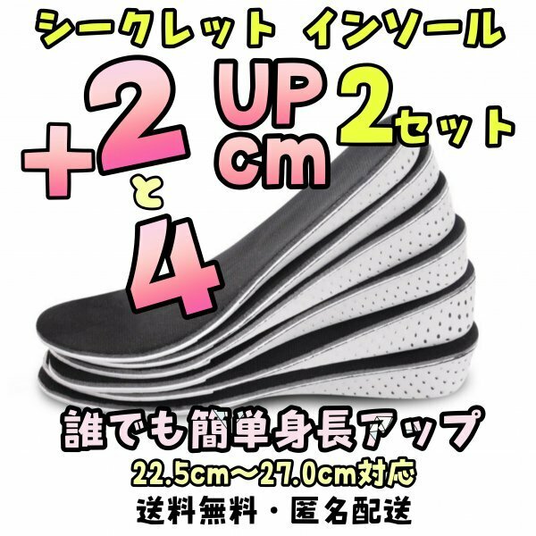 2㎝ 4㎝ 2足 セット シークレット インソール おすすめ 厚底 盛れる 調整 極厚 中敷き 身長 分厚い ずれない 高い 足底 疲れにくい 衝撃