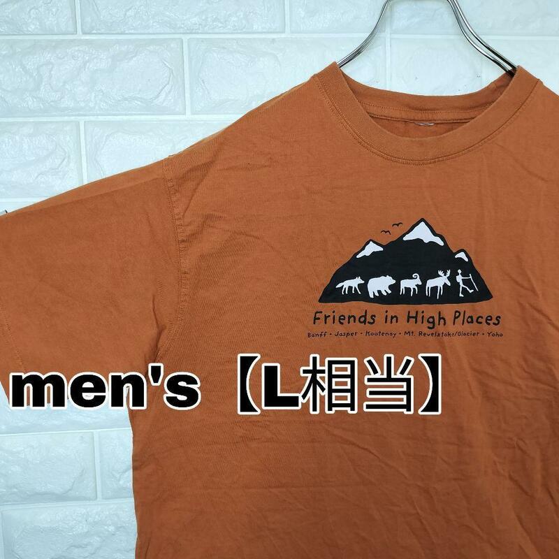 B858【メーカー不明】半袖Tシャツ【メンズL相当】茶系