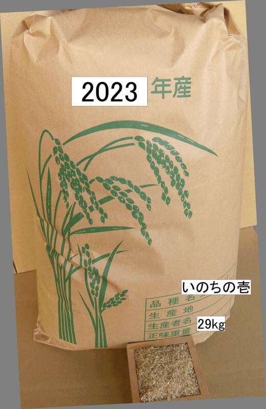 農薬未使用 いのちの壱29kg No1 玄米