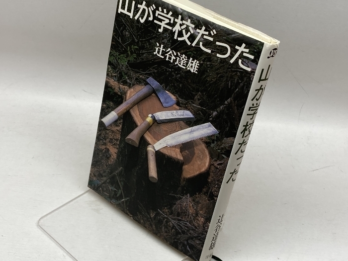 山が学校だった 洋泉社 辻谷 達雄 洋泉社 辻谷 達雄