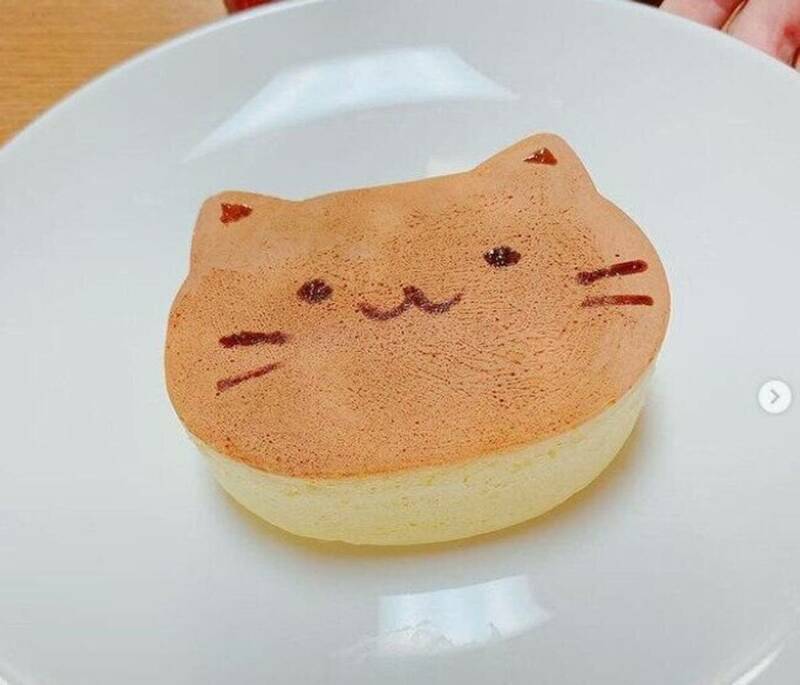 厚めのパンケーキモールド ねこ型 新品シリコーン シリコン 手作りお菓子 かわいい 樹脂粘土レジン ビーズ石鹸 ハチワレ ちいかわ ネコ猫
