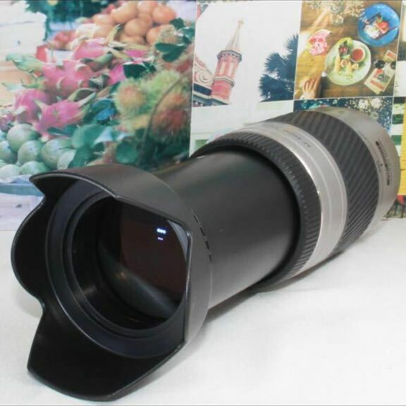 ミノルタ AF 75-300 mm ソニー aマウント用 望遠レンズ