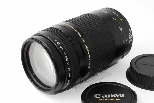 ★良品★ キヤノン CANON EF 75-300mm F4-5.6 II USM ★微カビ 影響なし★ #L86080090