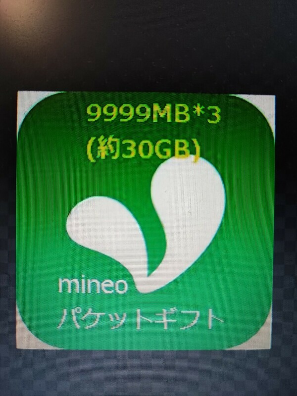 mineo　31GB マイネオパケットギフト30GB(9999MB3口)＋おまけ1GB　即日対応 