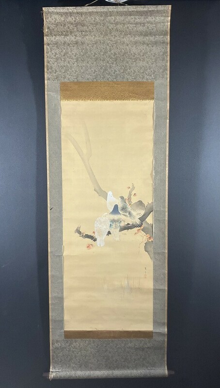 C2-119 掛軸 日本画 絹本 鳩 花鳥図 在銘 落款有り 約W57H170㎝ 表装傷破れあり 木製軸先