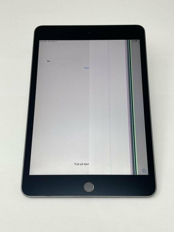 34【ジャンク品】 iPad mini 第5世代 256GB Wi-Fi スペースグレイ
