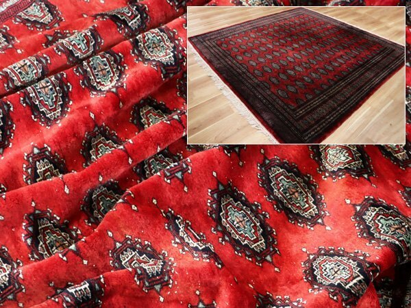 魁◆高級パキスタン絨毯 手織り 大判 スクエア 246.5×249㎝ 上質ウール100％ トライバルラグ レッド