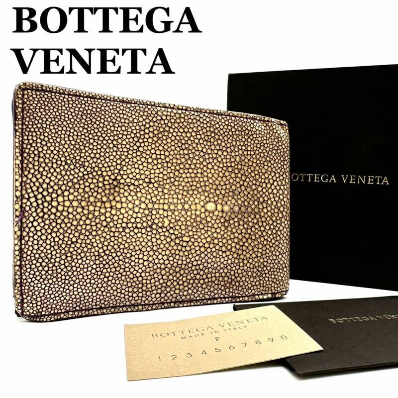 【極美品】 BOTTEGA VENETA ボッテガヴェネタ スティングレイ ガルーシャ エイ革 二つ折り財布 折りたたみ コンパクト wallet メンズ