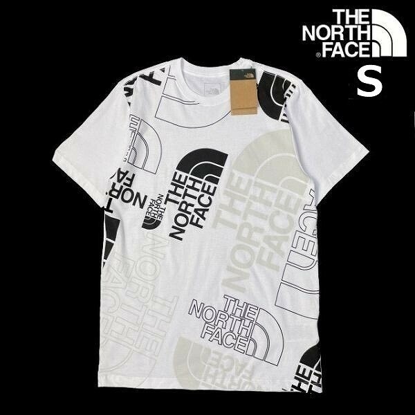 1円～!売切!【正規新品】THE NORTH FACE◆S/S GRAPHIC INJECTION TEE 半袖 Tシャツ US限定 グラフィック 男女兼用 キャンプ(S)白 180902-15