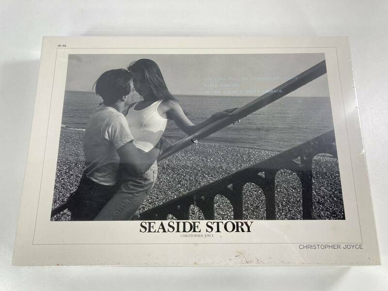 SUN PUZZLE シーサイドストーリー SEASIDE STORY ジグソーパズル 1000ピース 日本製 恋人 カップル