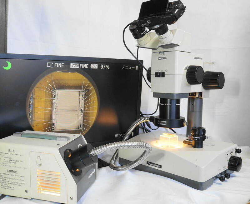 OLYMPUS 実体顕微鏡 SZH 8.5倍ズーム 　リング型ファイバー落射照明　ステージ下からの透過照明　SONY　一眼デジカメ＋ 大型モニタ