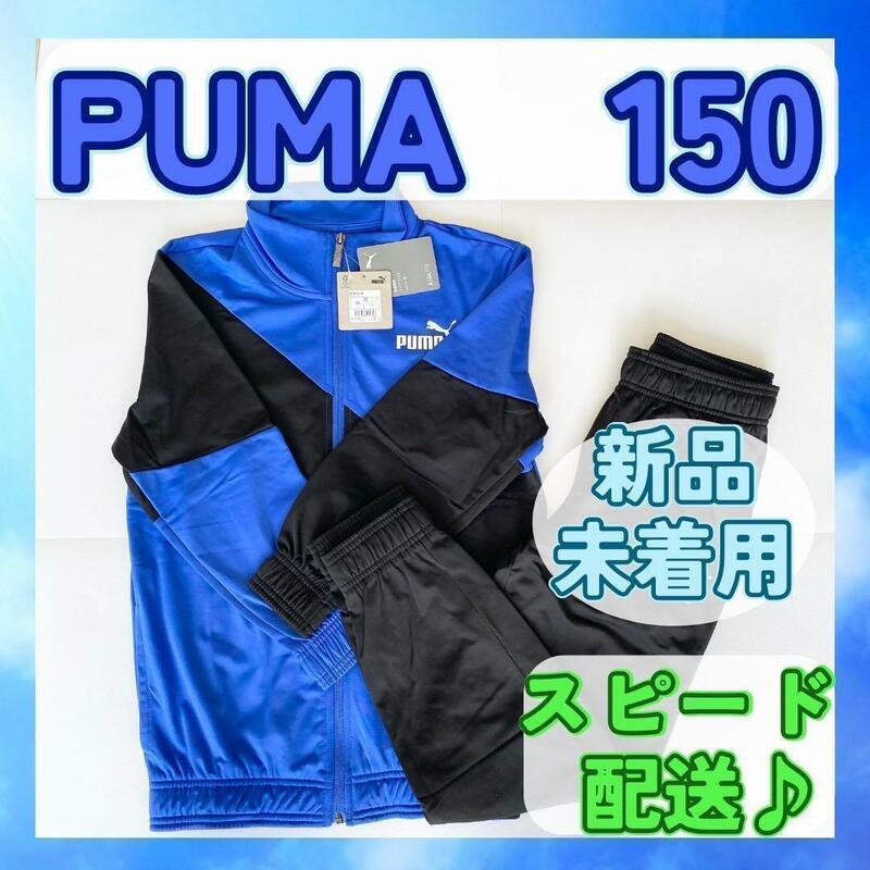 【新品未着用】PUMA プーマ ジャージ上下 150 ロイヤル