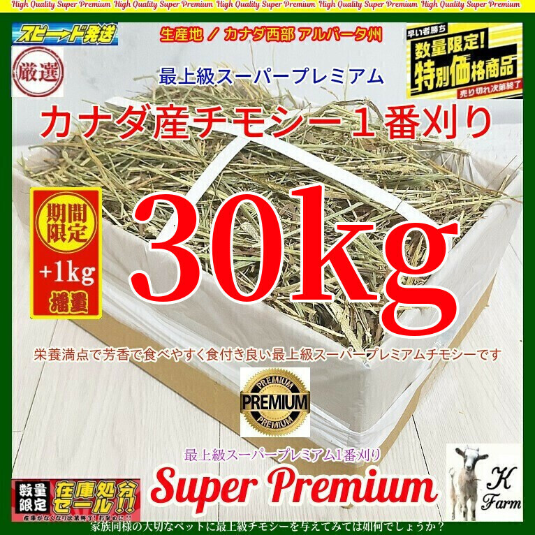 【5/31まで限定】 カナダ産 チモシー 30+1kg スーパープレミアム （１番刈）/最上質アルバータ産 / お得なまとめ売り(2496円/10kg単価)