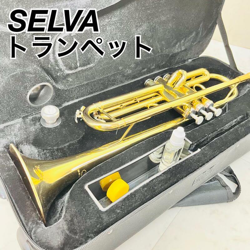 SELVA トランペット　管楽器　初心者　ゴールドラッカー　入門　やさしい