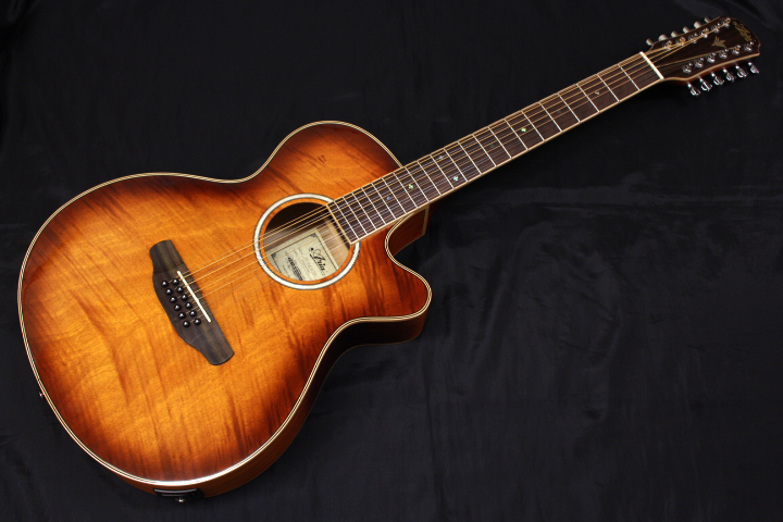 新品 Aria(アリア) / FET-DLX/12 LVS 12弦 エレクトリック・アコースティックギター ※北海道、沖縄・離島を除き送料無料です。