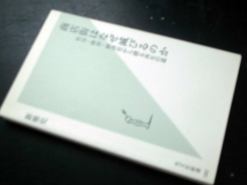 「商店街はなぜ滅びるのかー社会・政治・経済史から探る再生の道」新雅史著/光文社新書 2012年