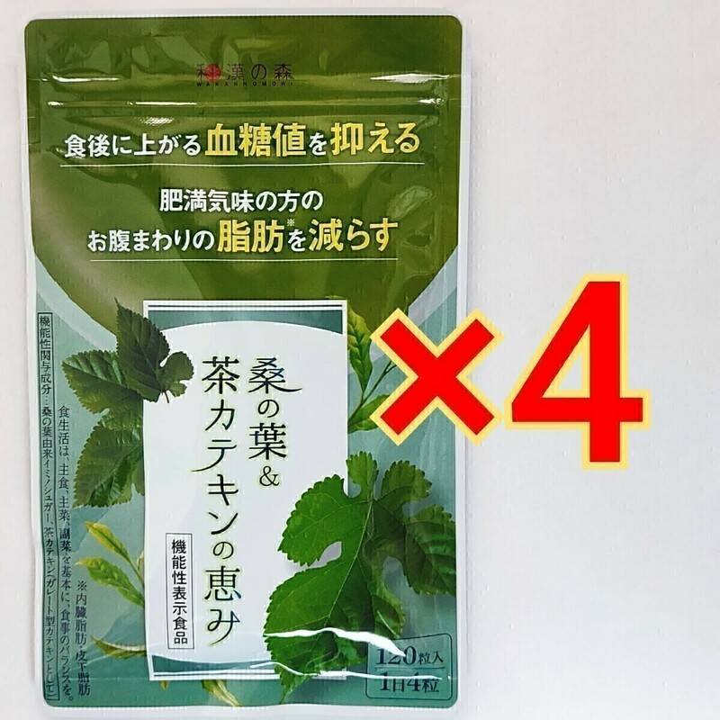 和漢の森　桑の葉＆茶カテキンの恵み　120粒×4袋血糖値　脂肪　ダイエット サプリ サプリメント #漢方セレクト
