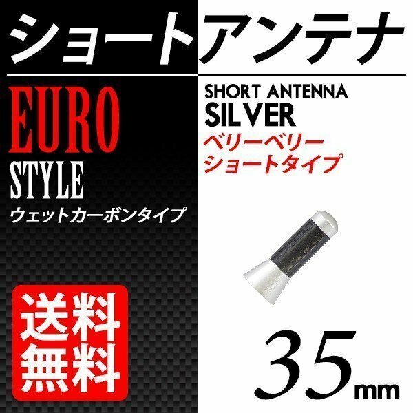 35mm カーボンアンテナ 銀 シルバー ショートアンテナ ユーロタイプ 汎用 簡単取り付け 車 国内検査後出荷 ネコポス 送料無料