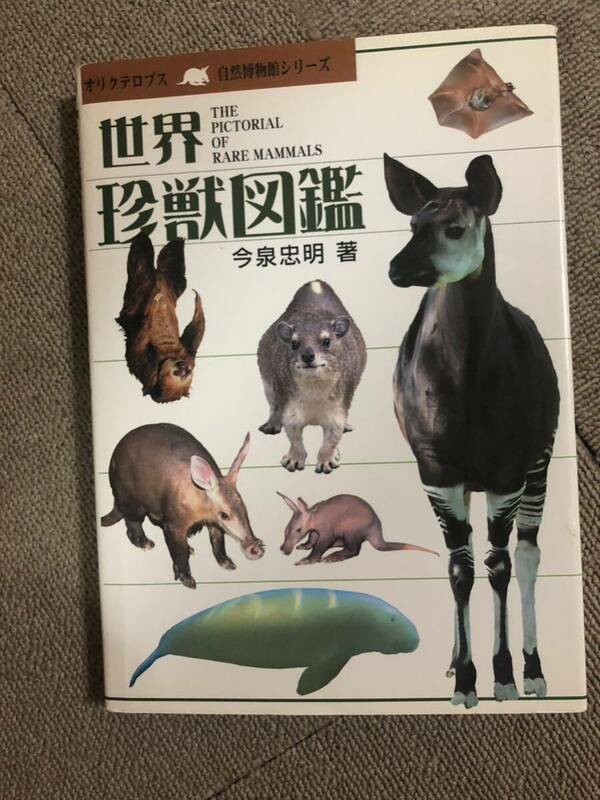 世界珍獣図鑑 自然博物館シリーズ 動物 アニマル 本 教育 