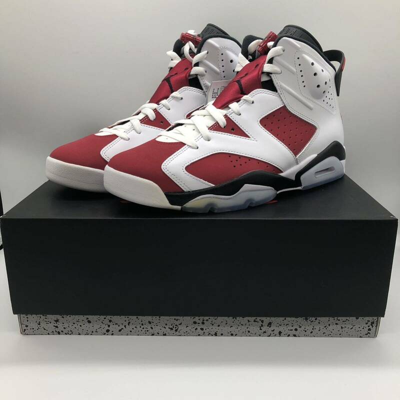 【28cm】新品 Nike Air Jordan 6 Carmine 2021 ナイキ エアジョーダン6 カーマイン (CT8529-106) 0065