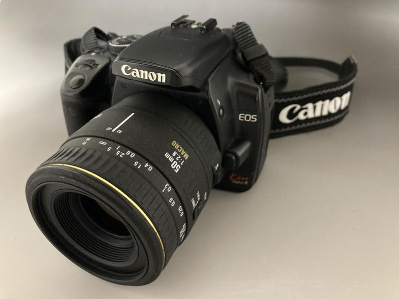 Canon EOS Kiss Digital X DS126151 キャノン 一眼レフ デジタル カメラ EX SIGMA 動作品