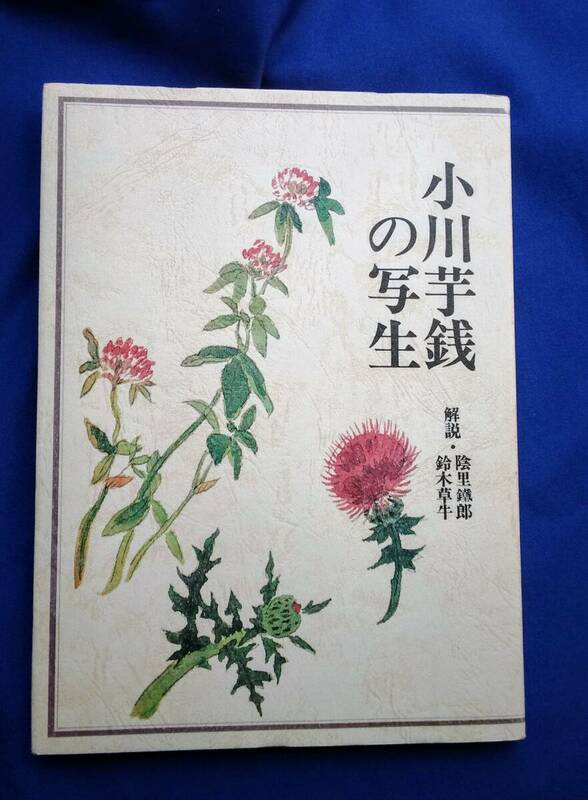 グラフィック社　小川芋銭の写生　1980年　初版　評論　解説　図録　作品集　画集