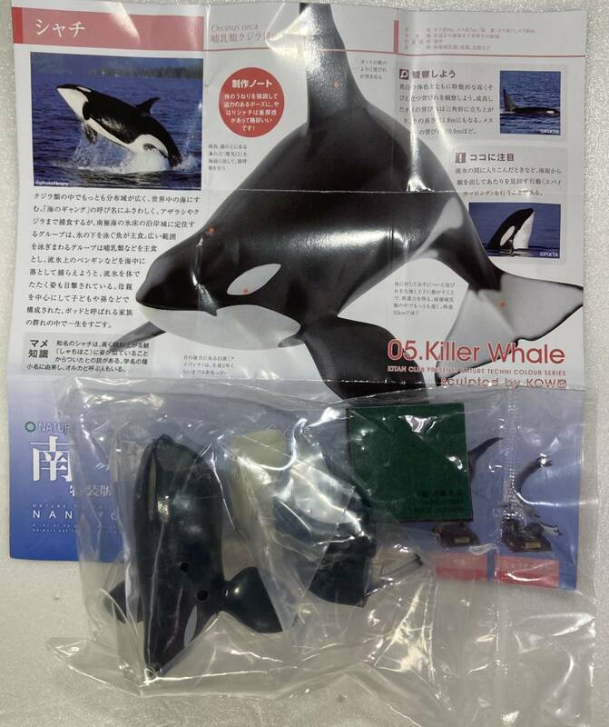 ネイチャーテクニカラー 南極 特装版 シャチ Killer Whale