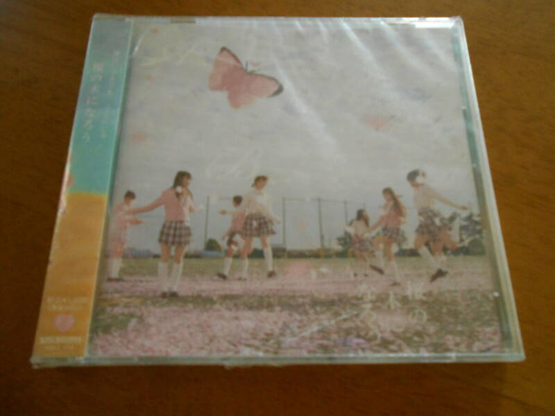 CD　未開封　AKB48「桜の木になろう」