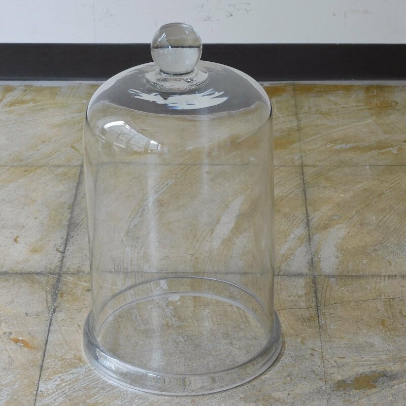 ふるいガラスドーム HK-a-03625 / 顕微鏡 風防 アンティーク ショーケース ガラスケース アトリエ デシケーター