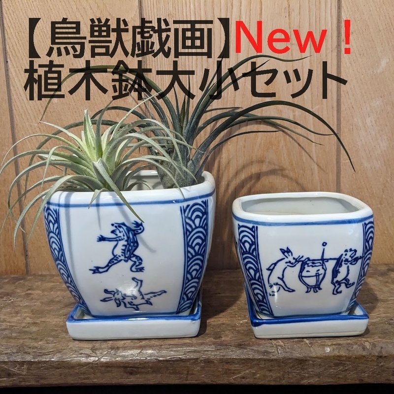 【鳥獣戯画大小1セット】植木鉢　大小　皿付　多肉植物　縁起物　蛙　兎 植木鉢　プランター　ミニ盆栽　観葉植物　多肉植物　寄せ植え