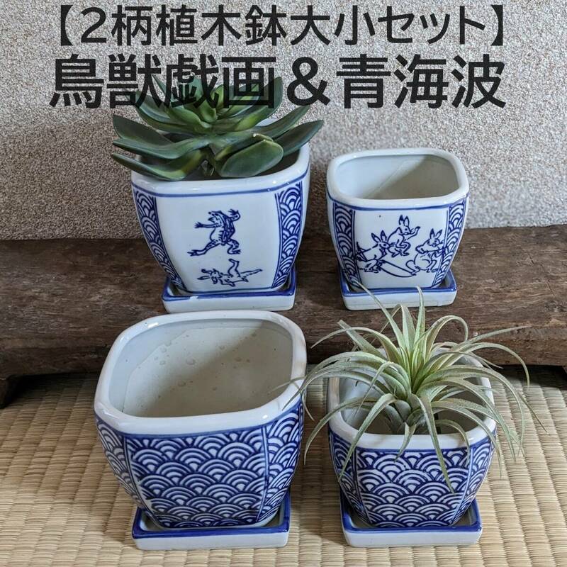 【鳥獣戯画&青海波セット】2種類　植木鉢　大小　皿付　多肉植物　縁起物 植木鉢　プランター　ミニ盆栽　観葉植物　多肉植物　寄せ植え